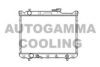 AUTOGAMMA 104191 Radiator, engine cooling